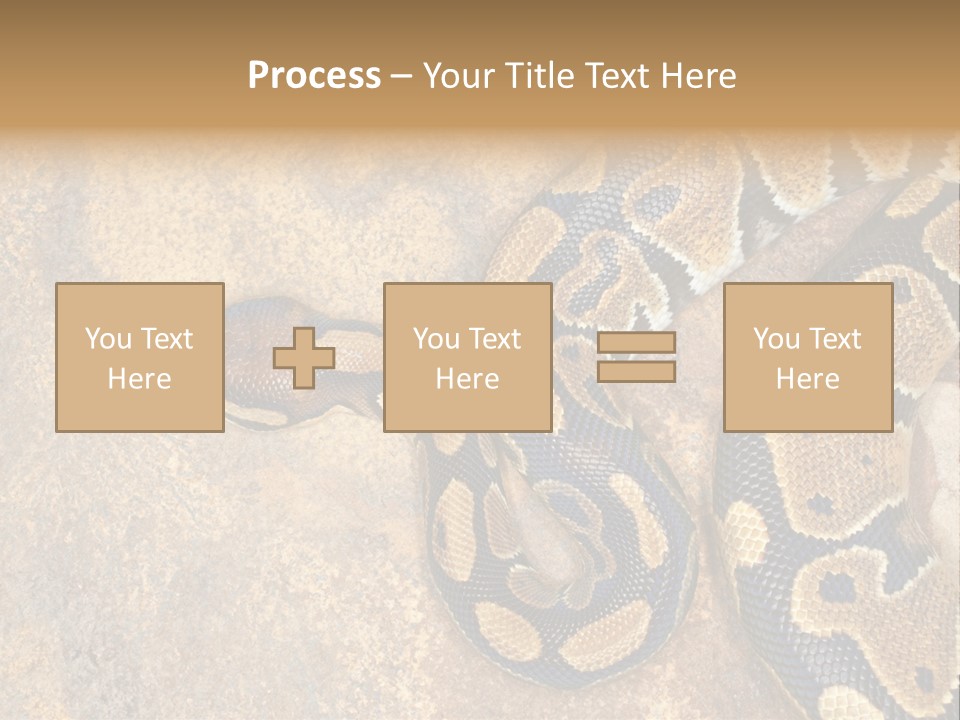 Black Nature Beige PowerPoint Template