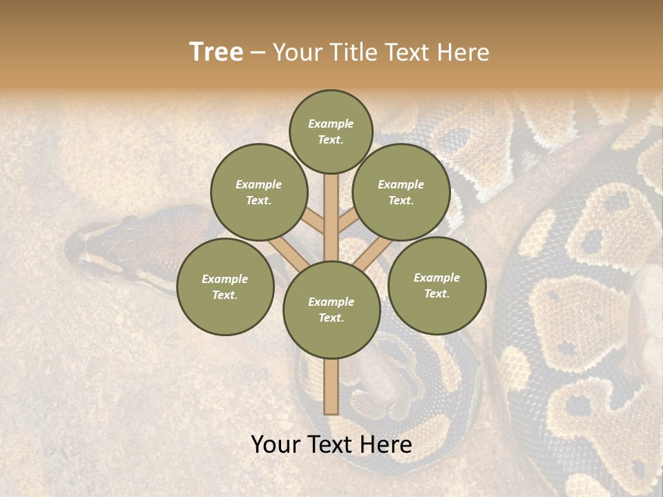 Black Nature Beige PowerPoint Template