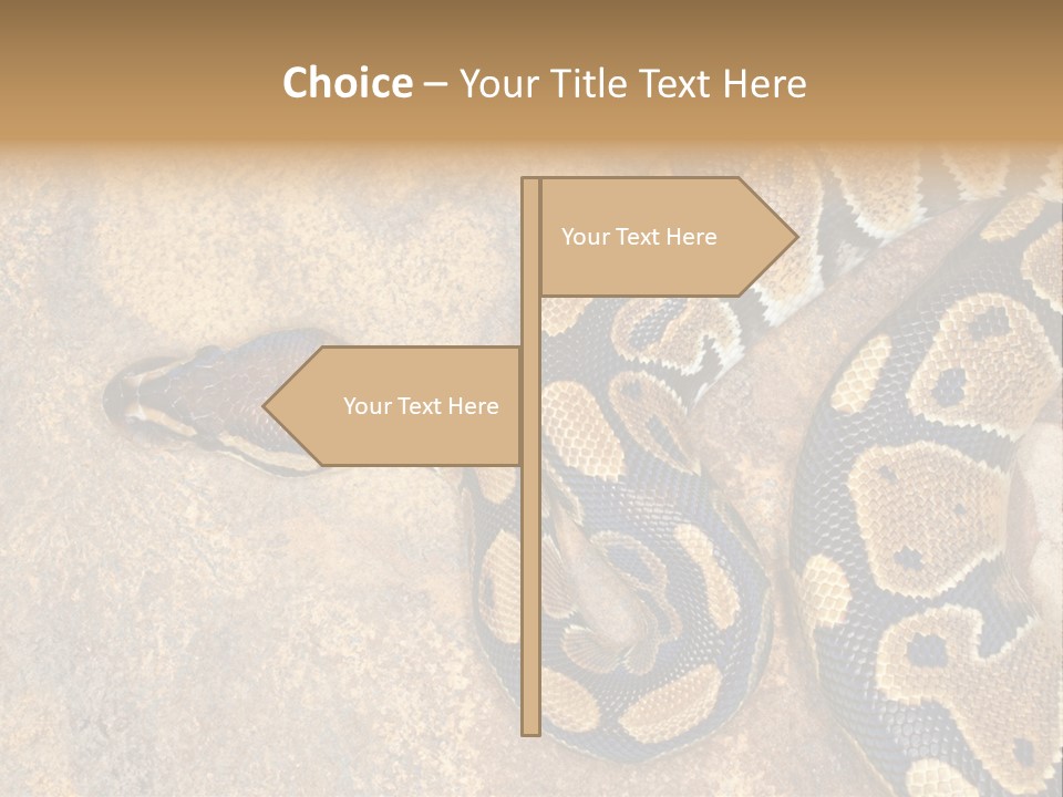 Black Nature Beige PowerPoint Template