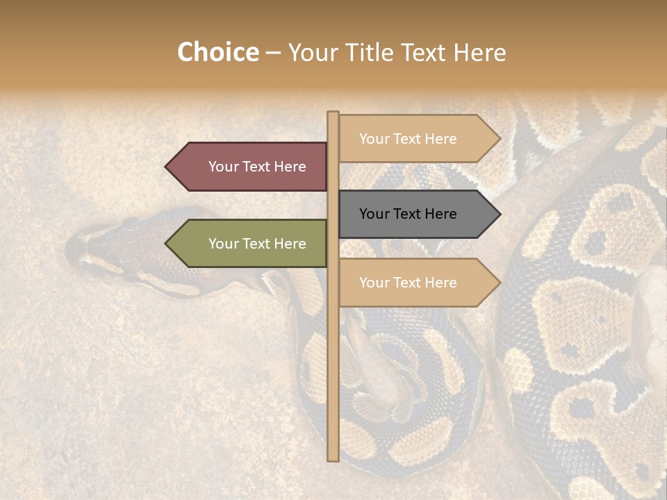 Black Nature Beige PowerPoint Template