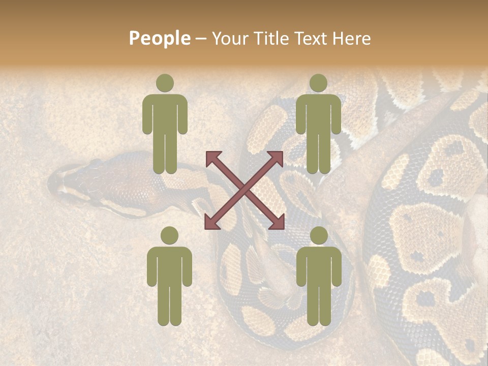 Black Nature Beige PowerPoint Template