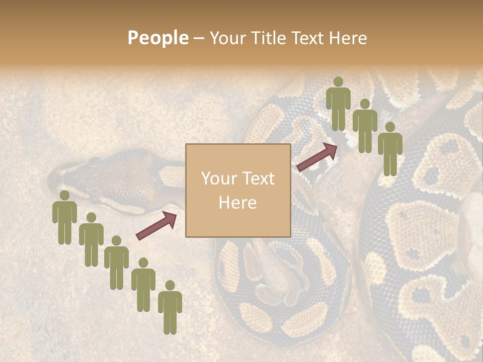 Black Nature Beige PowerPoint Template