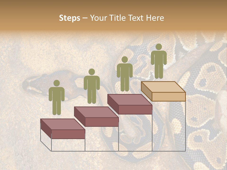 Black Nature Beige PowerPoint Template