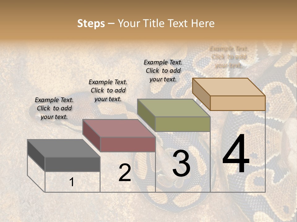 Black Nature Beige PowerPoint Template