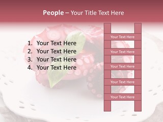 Food Herb Sashimi PowerPoint Template