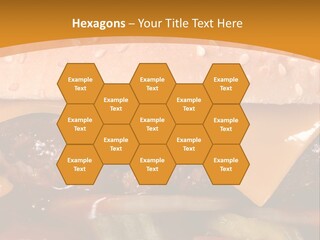 Protect Healthcare Toilet PowerPoint Template