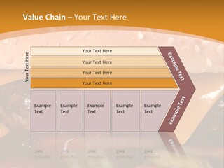 Protect Healthcare Toilet PowerPoint Template