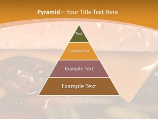 Protect Healthcare Toilet PowerPoint Template