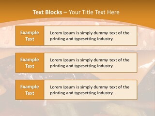 Protect Healthcare Toilet PowerPoint Template