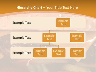 Protect Healthcare Toilet PowerPoint Template