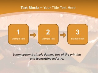 Protect Healthcare Toilet PowerPoint Template