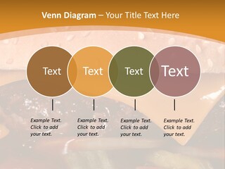 Protect Healthcare Toilet PowerPoint Template