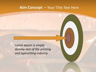 Protect Healthcare Toilet PowerPoint Template