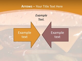 Protect Healthcare Toilet PowerPoint Template