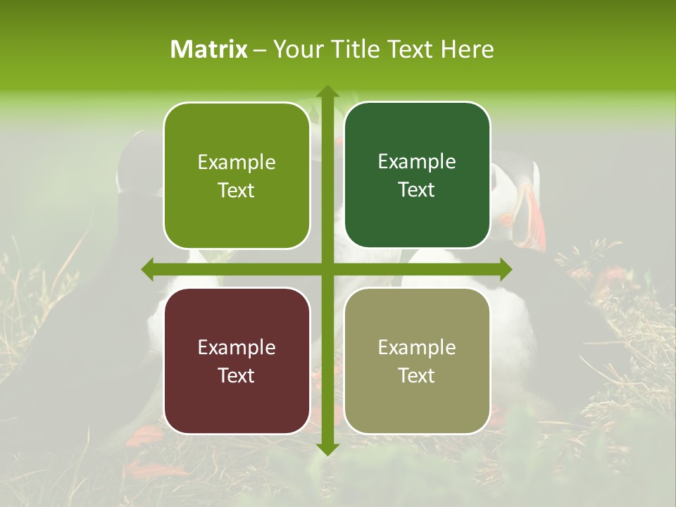 Picturesque Tourism Trip PowerPoint Template