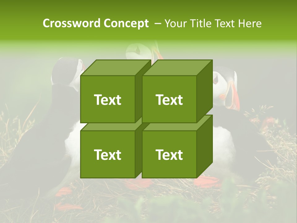 Picturesque Tourism Trip PowerPoint Template