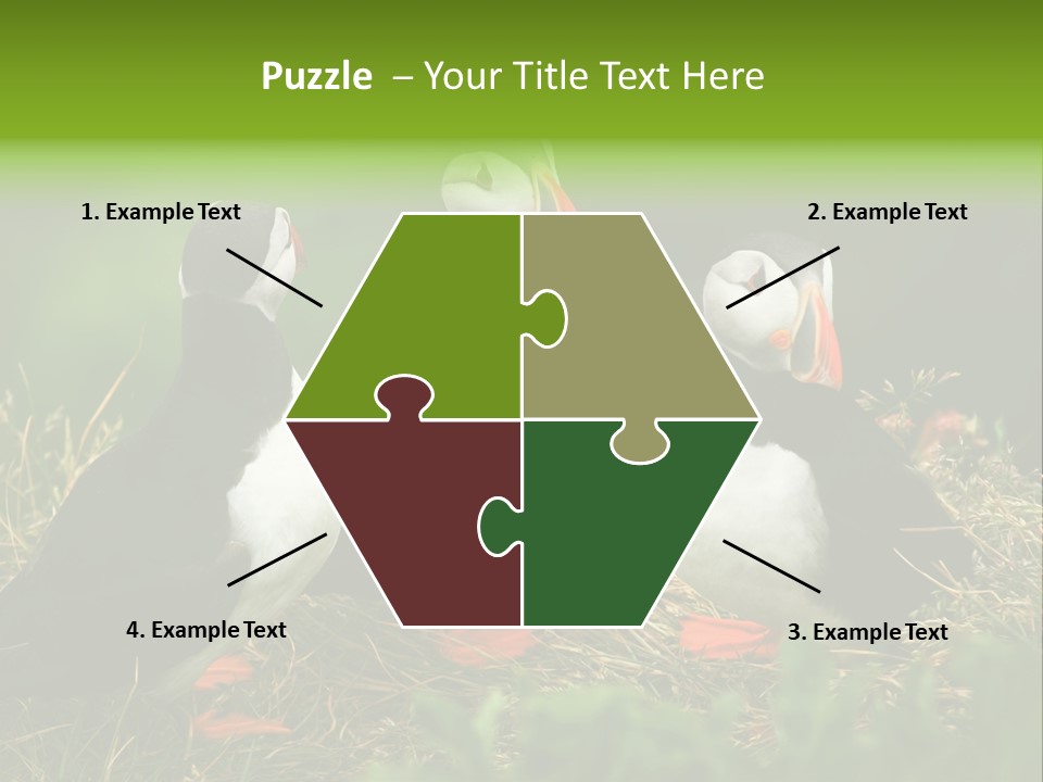 Picturesque Tourism Trip PowerPoint Template