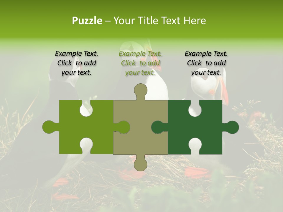 Picturesque Tourism Trip PowerPoint Template