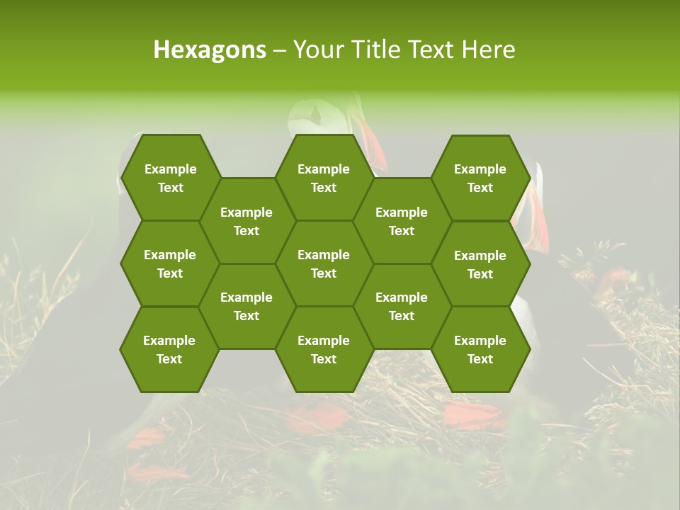 Picturesque Tourism Trip PowerPoint Template