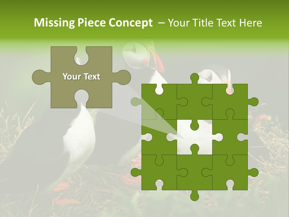 Picturesque Tourism Trip PowerPoint Template