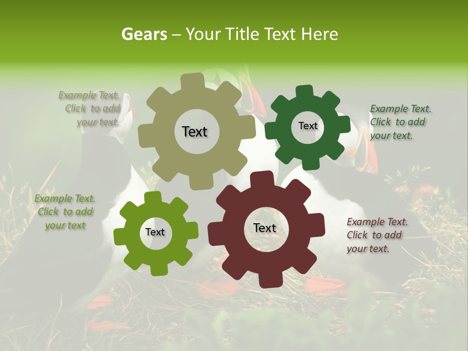 Picturesque Tourism Trip PowerPoint Template