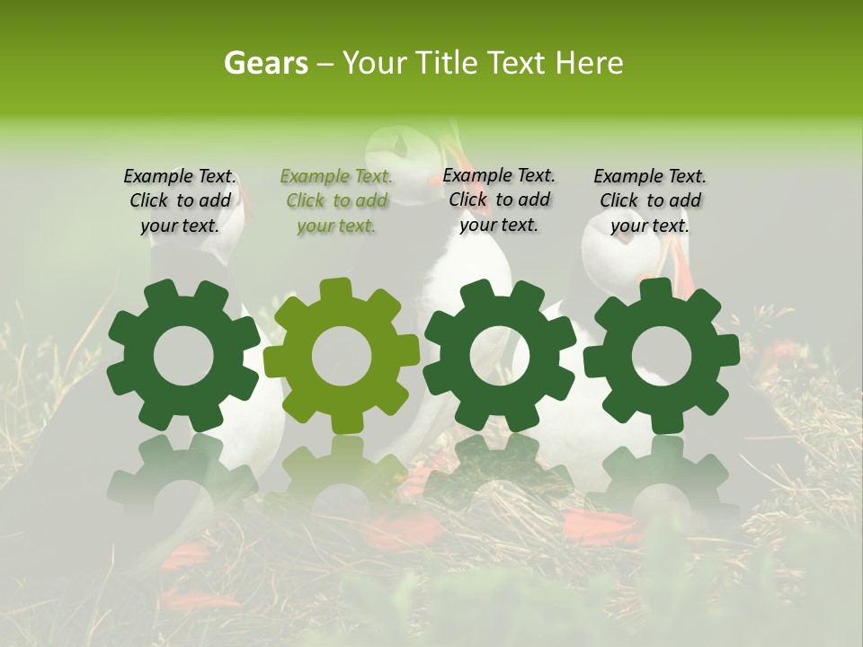 Picturesque Tourism Trip PowerPoint Template