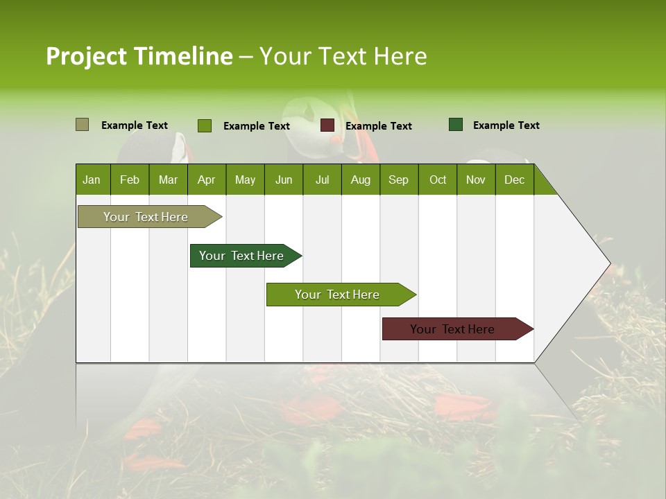 Picturesque Tourism Trip PowerPoint Template