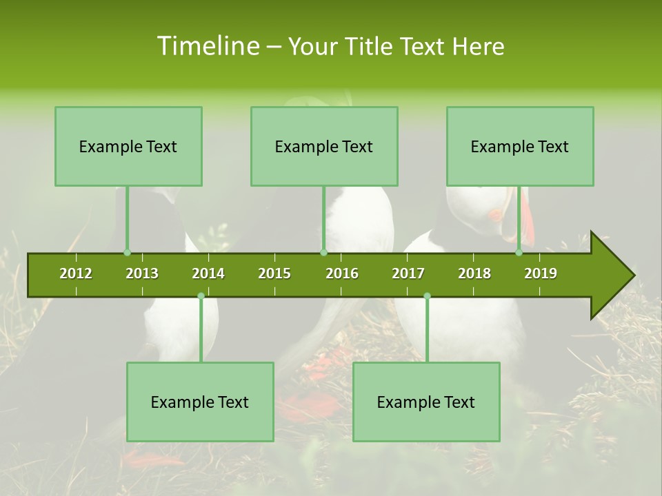 Picturesque Tourism Trip PowerPoint Template