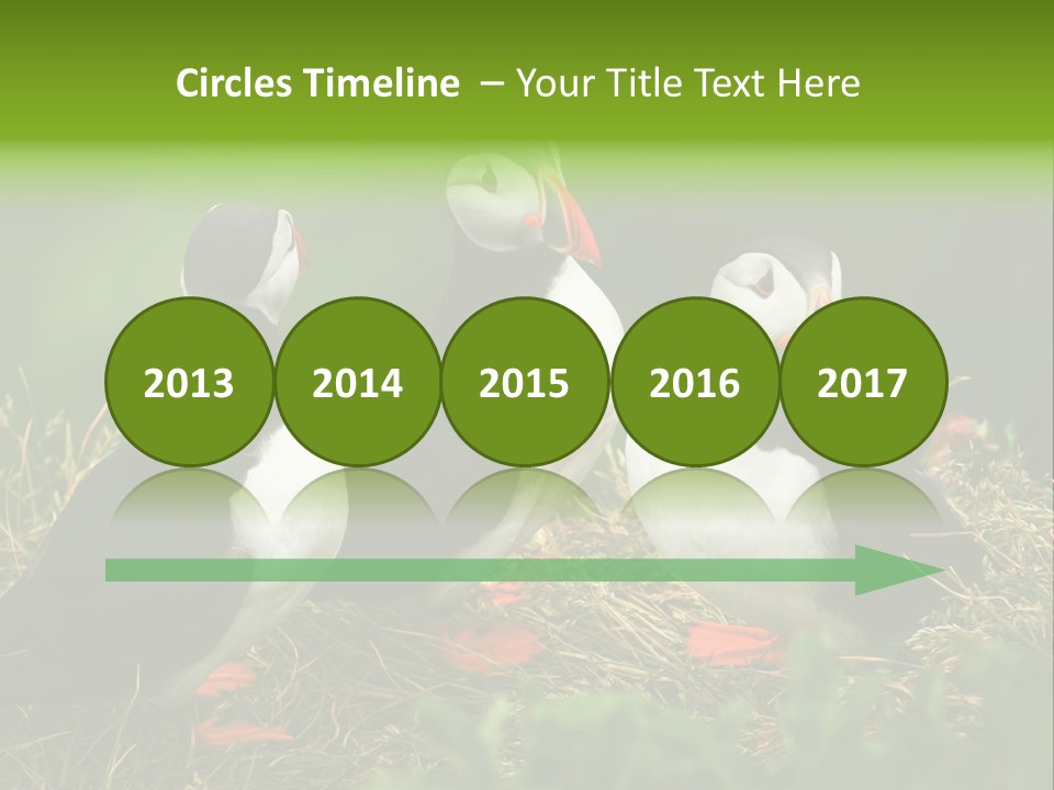 Picturesque Tourism Trip PowerPoint Template