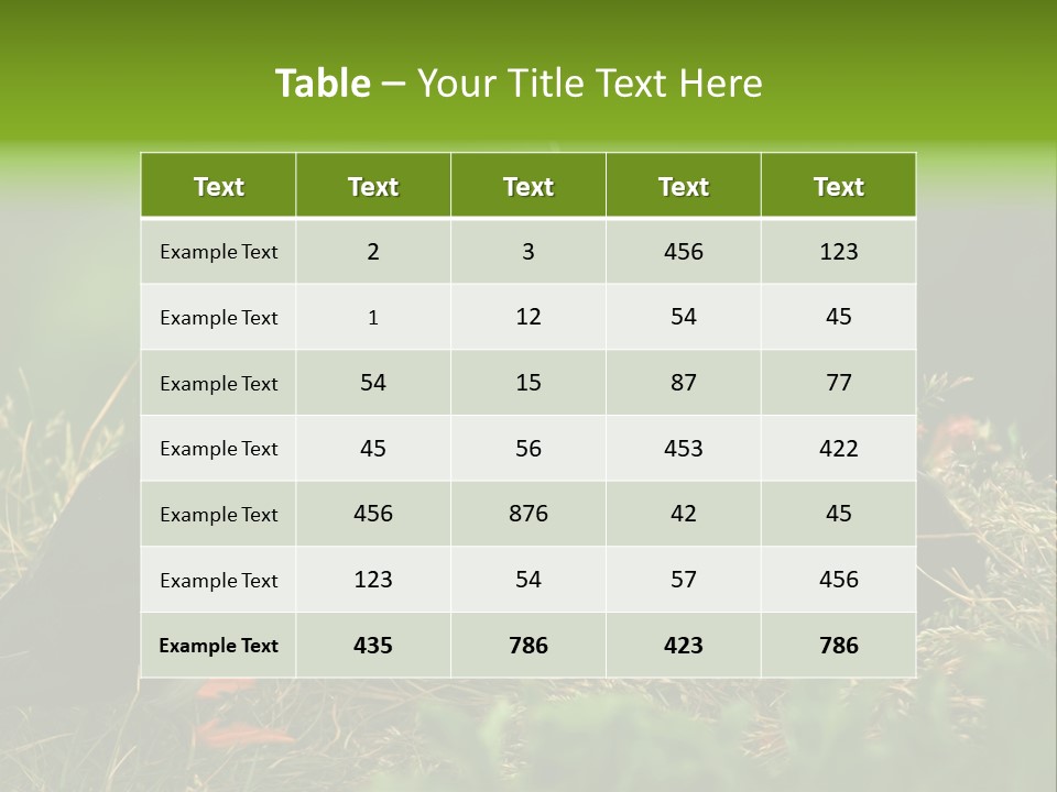 Picturesque Tourism Trip PowerPoint Template