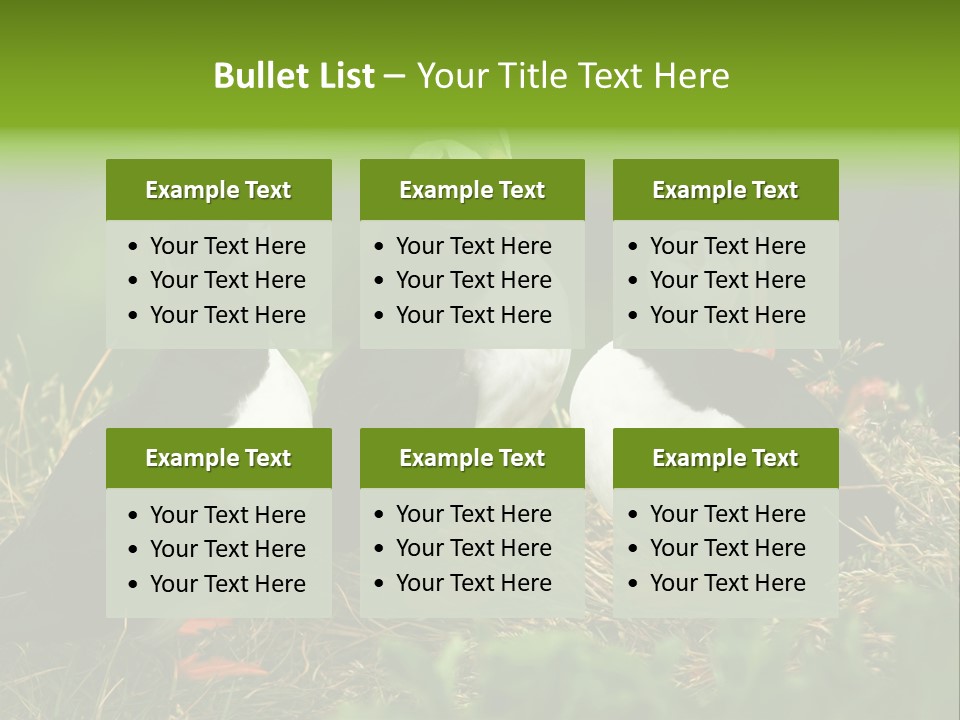 Picturesque Tourism Trip PowerPoint Template