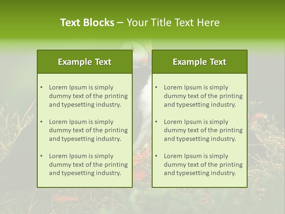 Picturesque Tourism Trip PowerPoint Template