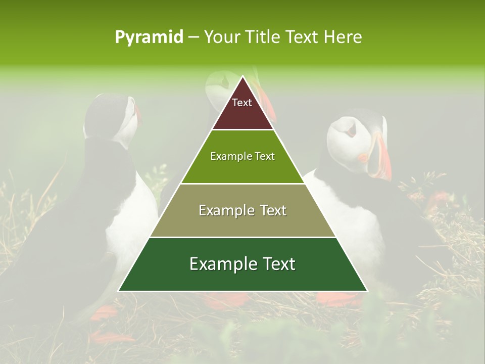 Picturesque Tourism Trip PowerPoint Template