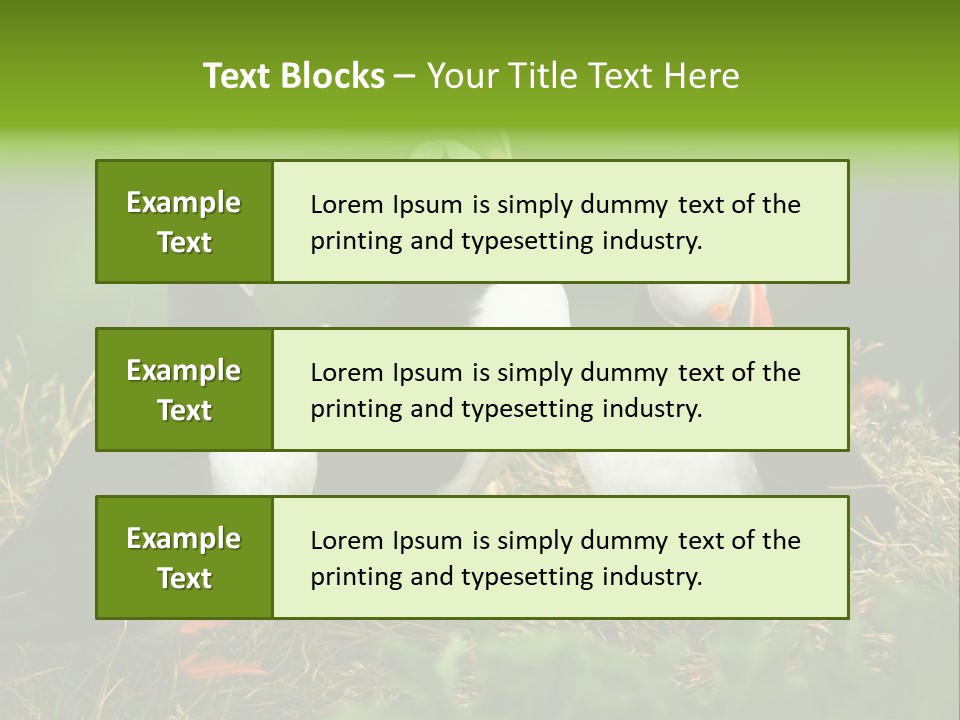 Picturesque Tourism Trip PowerPoint Template