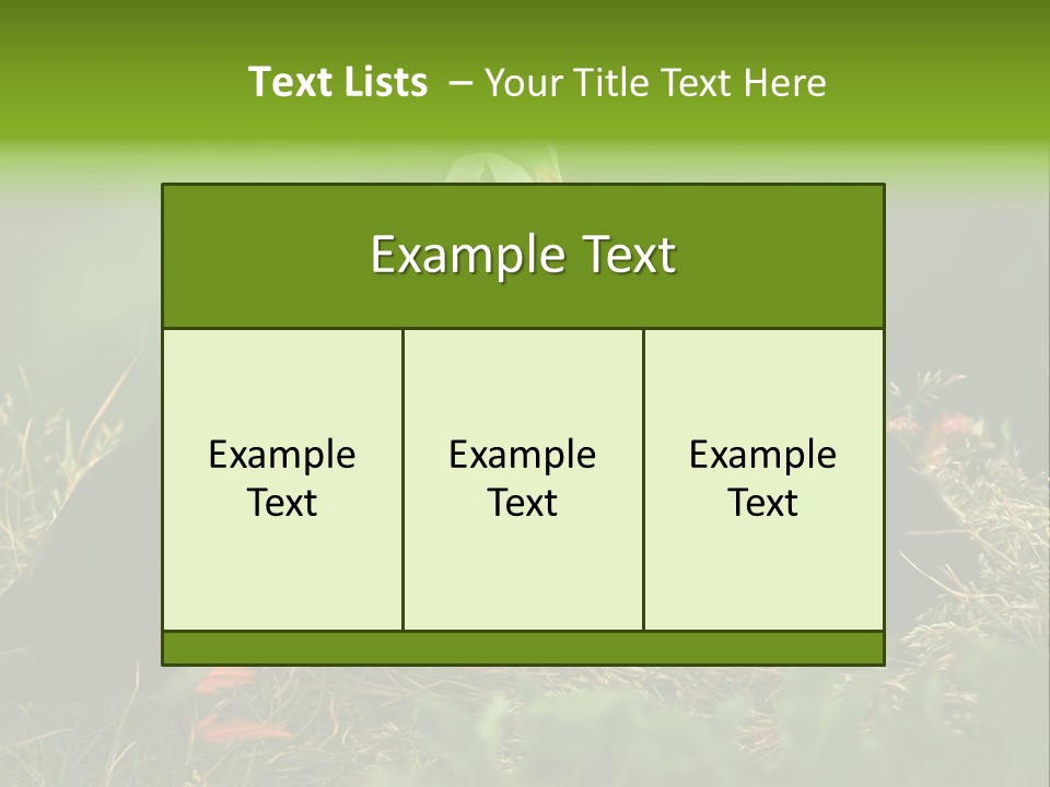 Picturesque Tourism Trip PowerPoint Template