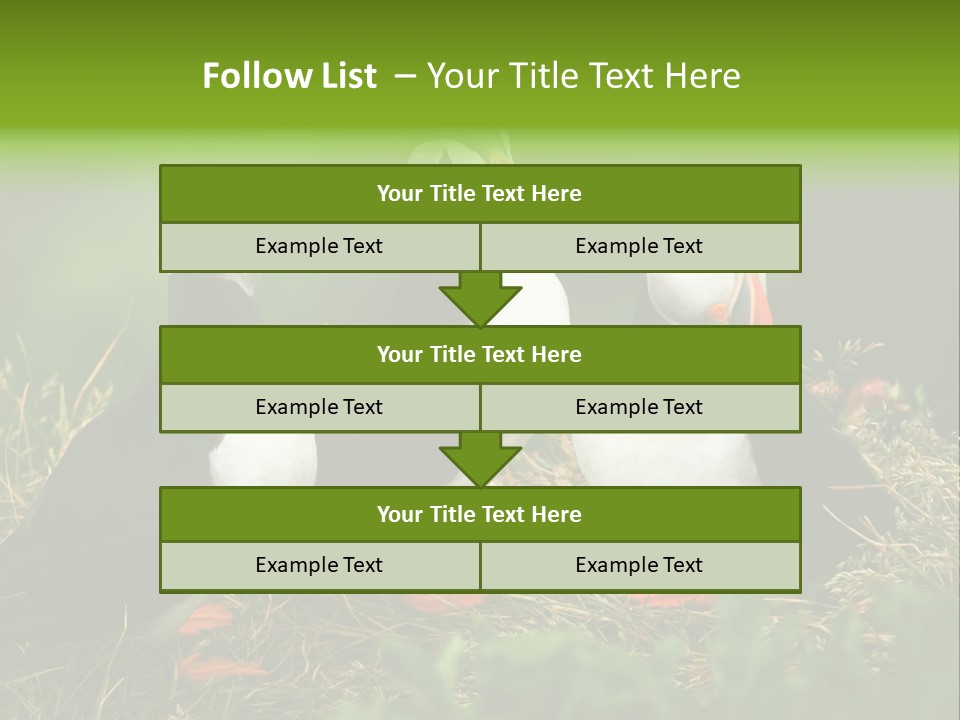 Picturesque Tourism Trip PowerPoint Template