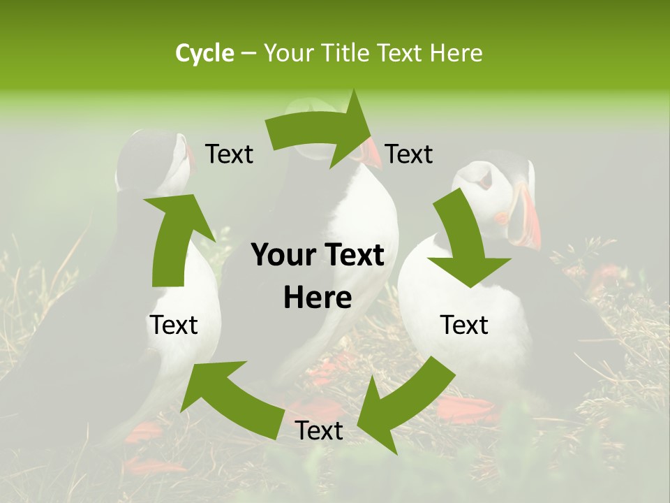 Picturesque Tourism Trip PowerPoint Template