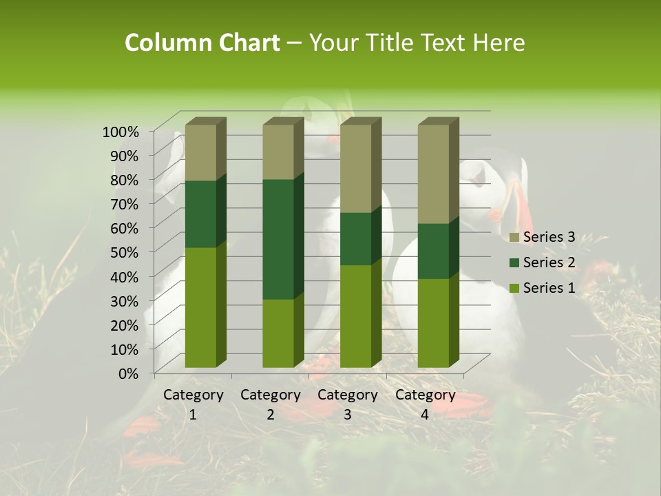 Picturesque Tourism Trip PowerPoint Template