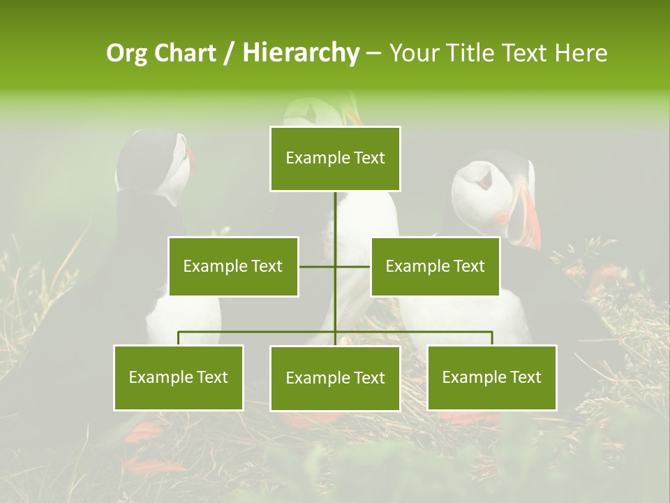 Picturesque Tourism Trip PowerPoint Template