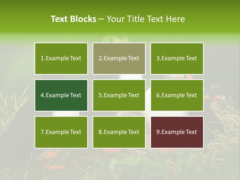 Picturesque Tourism Trip PowerPoint Template