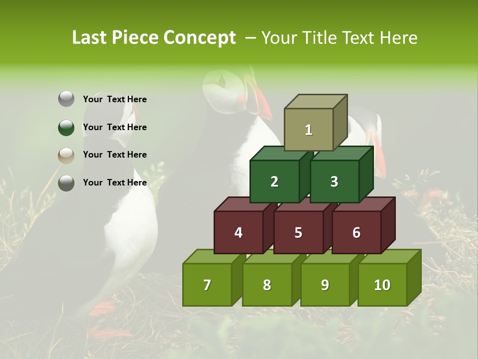 Picturesque Tourism Trip PowerPoint Template