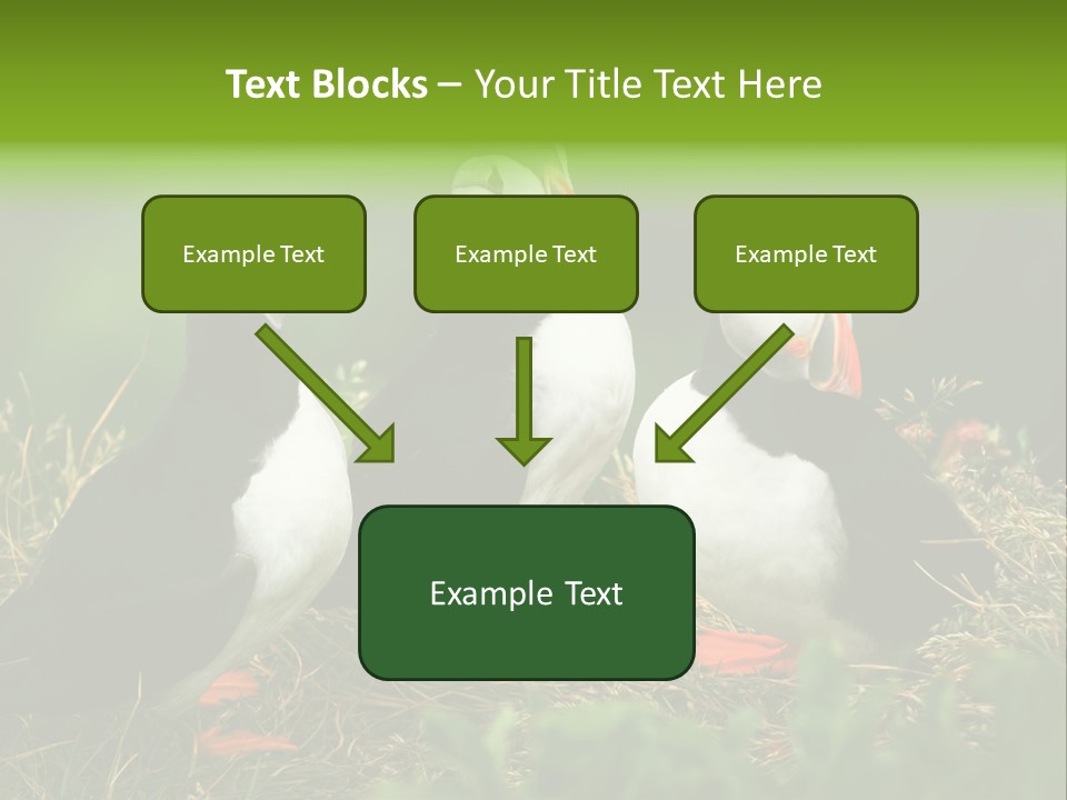 Picturesque Tourism Trip PowerPoint Template