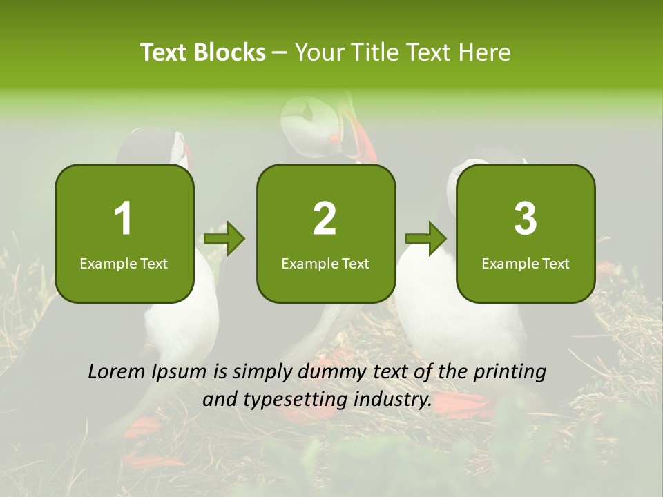 Picturesque Tourism Trip PowerPoint Template