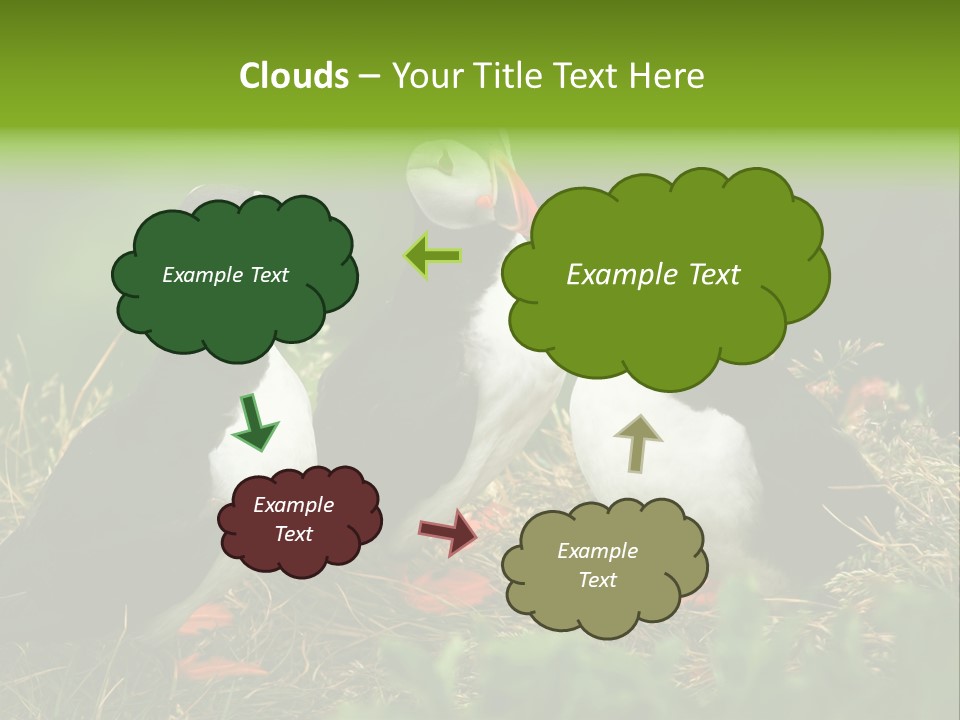 Picturesque Tourism Trip PowerPoint Template