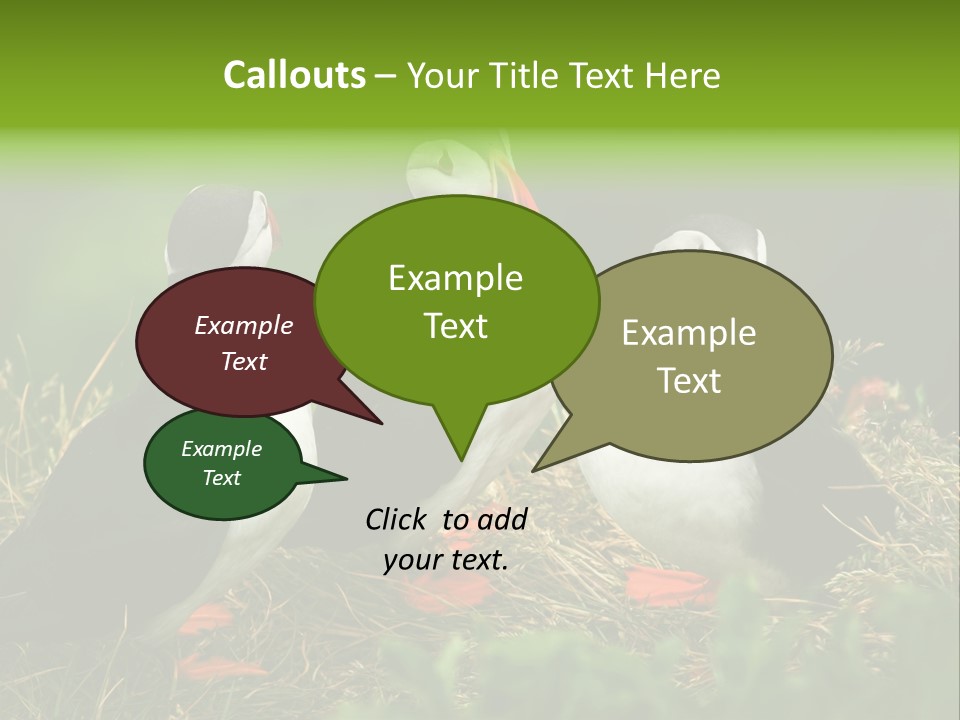 Picturesque Tourism Trip PowerPoint Template