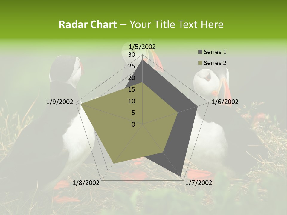 Picturesque Tourism Trip PowerPoint Template