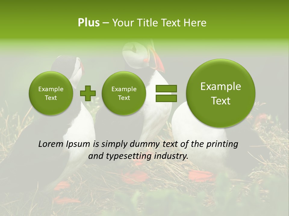 Picturesque Tourism Trip PowerPoint Template