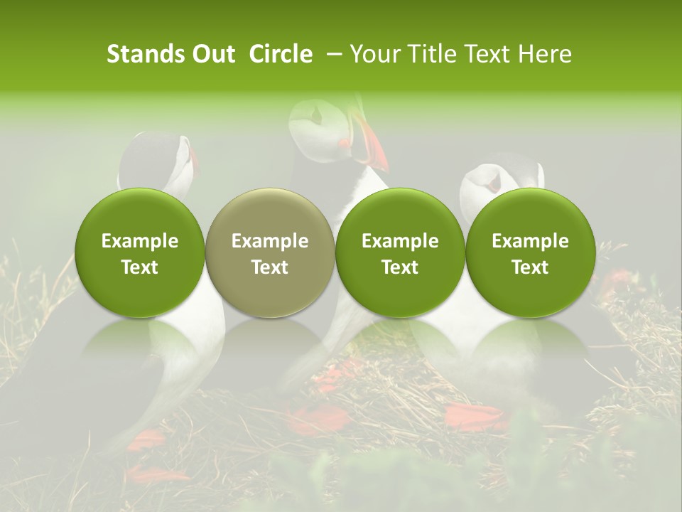 Picturesque Tourism Trip PowerPoint Template