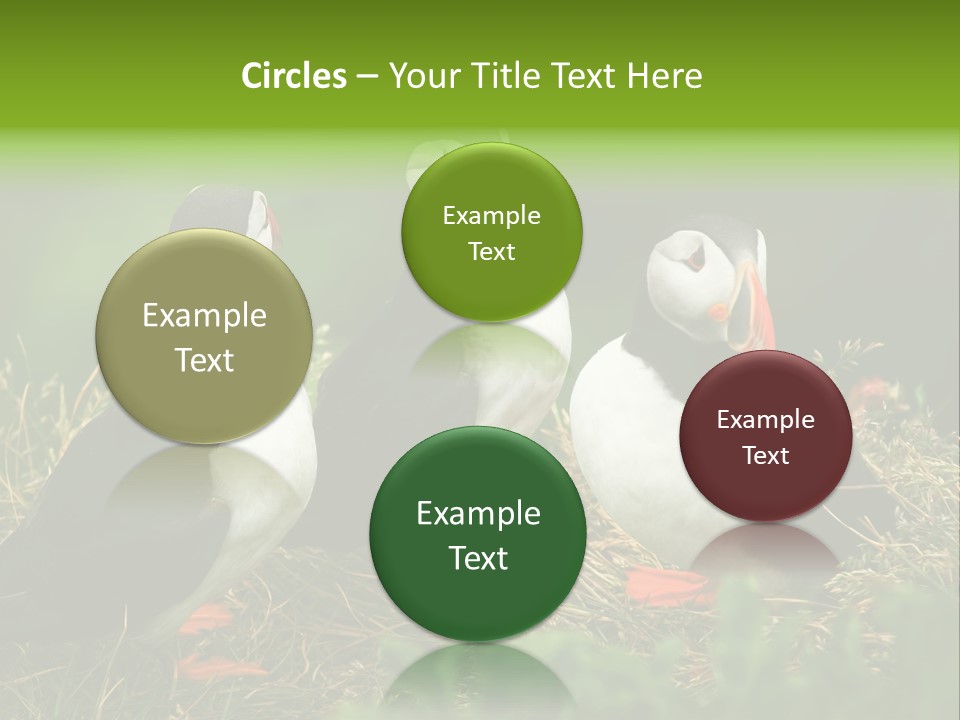 Picturesque Tourism Trip PowerPoint Template