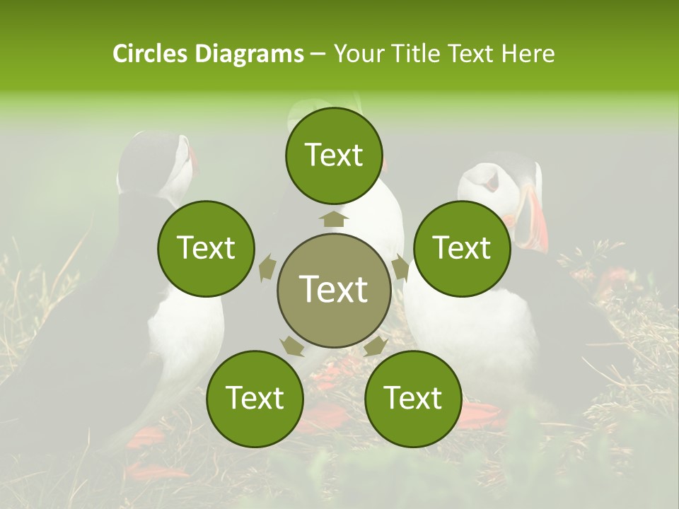 Picturesque Tourism Trip PowerPoint Template